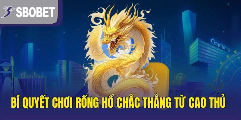 Bí quyết chơi Rồng Hổ chắc thắng từ cao thủ