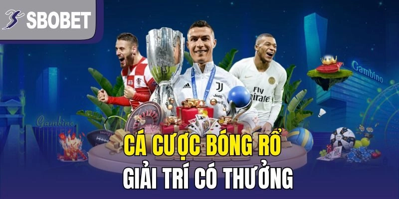 Cá cược bóng rổ - giải trí có thưởng