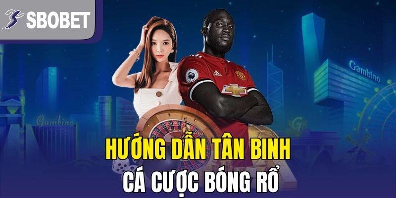 Hướng dẫn tân binh cá cược bóng rổ