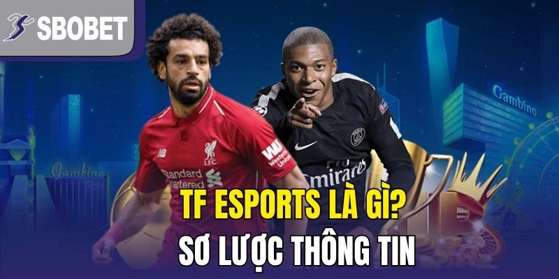 TF Esports là gì? Sơ lược thông tin