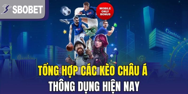 Tổng hợp các kèo châu Á thông dụng hiện nay