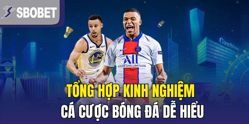 Tổng hợp kinh nghiệm cá cược bóng đá dễ hiểu