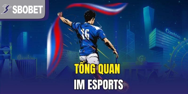 Tổng quan IM Esports